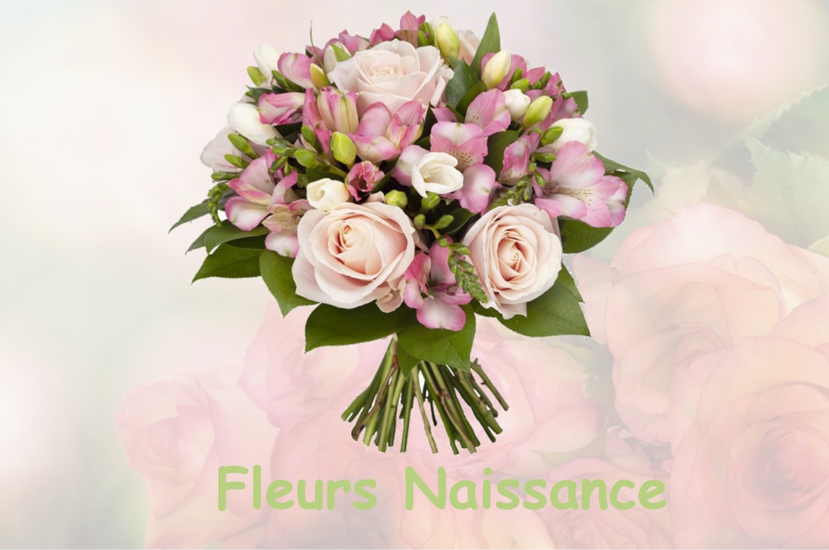 fleurs naissance PLEGUIEN