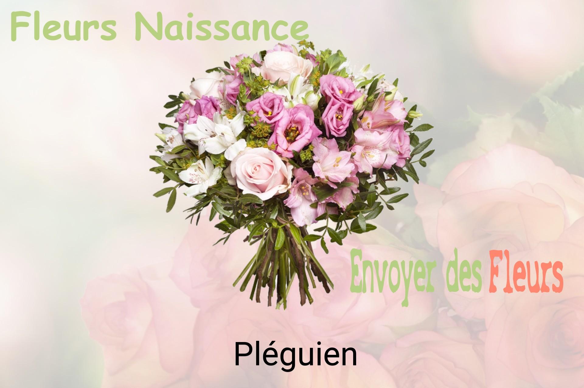 Bouquet de fleurs de naissance livré à Pléguien