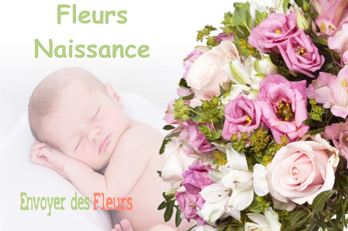 lIVRAISON FLEURS NAISSANCE à PLEGUIEN