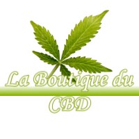 LA BOUTIQUE DU CBD PLEGUIEN 